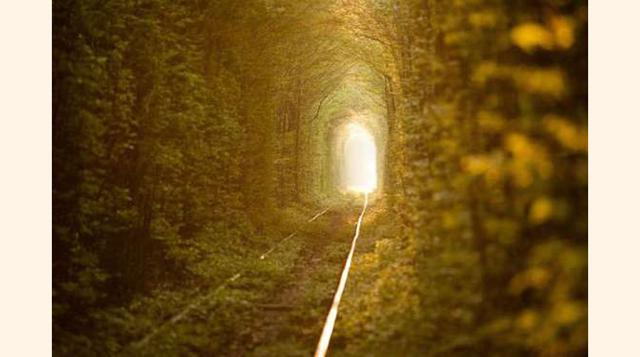 El Túnel Del Amor, Ucrania. Este precioso túnel está en lo más profundo del bosque de Keplan, en Ucrania, y se extiende durante 3 kilómetros en una vía de tren en desuso. El tren pasaba para llegar a una zona industrial, pero cuando dejaron que los árbole