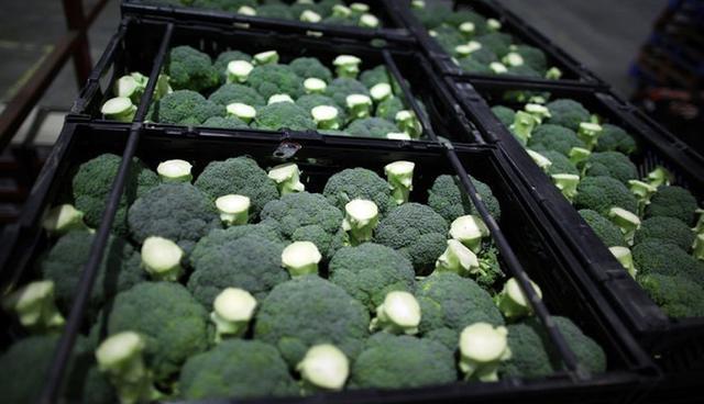 FOTO 9 | Brócoli. Potencia la memoria y ayuda a asegurar una correcta salud cerebral.