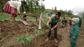 Más de 44,000 personas se quedaron sin empleo en zonas rurales, según el INEI