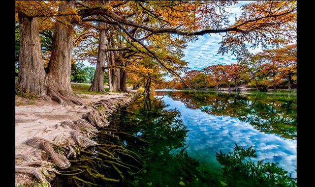 Foto 29 | TEXAS HILL COUNTRY.  A pesar de todos sus encantos, Austin no tiene nada que ver con las ciudades del viejo oeste ni con los campos de flores de Hill Country. ¿Quieres huir del estrés? Vente aquí y disfruta de lo que te ofrece la naturaleza.
