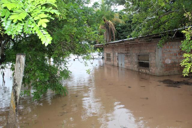 El desborde puso en alerta a cientos de productores de arroz, pues sus sembríos se encuentran cerca de la corriente. Las aguas inundaron sus terrenos (Fotos: Municipalidad de San Hilarión)