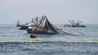 SNP: Segunda temporada de anchoveta impulsará el PBI de noviembre, diciembre y enero