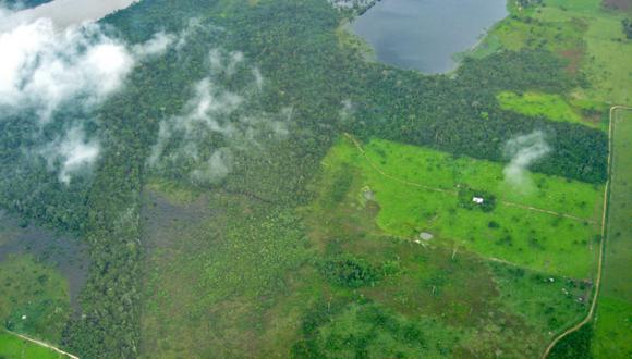 Vista aérea de la deforestación en la Amazonía brasileña. Tomada desde una pequeña aeronave utilizada para medir las emisiones de carbono. (Foto: Difusión)