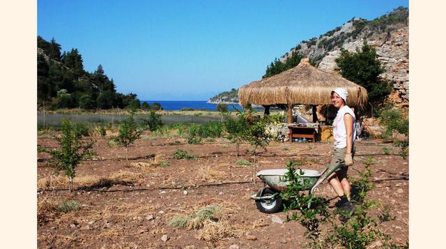 2.  Voluntariado en granjas orgánicas con WWOOF.(foto:traveler).
