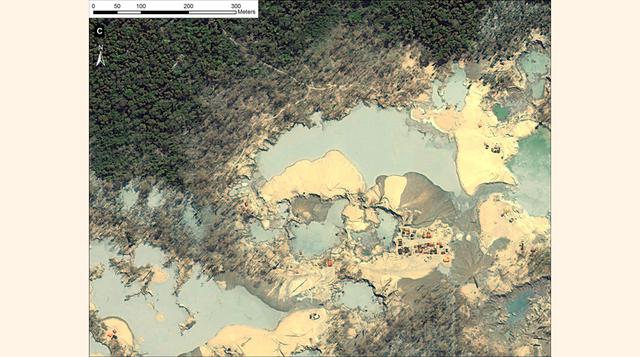 La deforestación en esta zona de Madre de Dios mantiene su crecimiento al punto que desde febrero hasta julio de este año se han perdido 225 hectáreas.