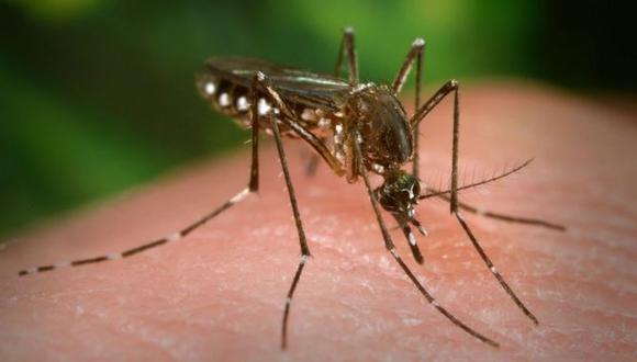 Dengue. (Foto: Getty Images)