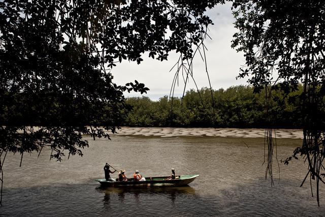 Foto 8: ¿Qué hacer? Recorrido en canoas de fibra (1 Km. / 30 mins.). También hay una “Ruta especializada”: Desde el embarcadero de Puerto 25, El Algarrobo - Isla Matapalo - Punta Capones. ¿Cómo llegar? De Lima a Tumbes, vía aérea 1 hora con 45 minutos y vía terrestre 20 horas. De Tumbes - Zarumilla por bus 30 minutos y de Zarumilla al Santuario 10 minutos en minibus. (Foto: usi)