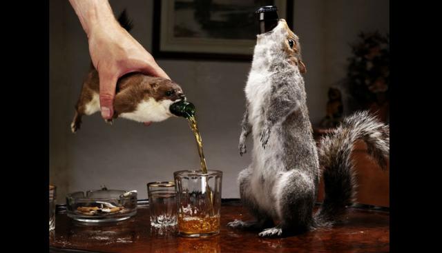 Brewdog ‘The end of history’ |De origen escocés, se empezó a producir desde 2010. Su volumen alcohólico es de 55 grados y los diseños de sus botellas están forrados con animales disecados como ardillas, armadillos. Pueden costar 765 dólares. (Brewdog)