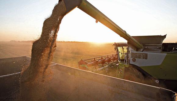 Los precios del trigo aumentaron 5.6%, un alza vinculada “al anuncio de un embargo de las exportaciones de India, preocupaciones por las condiciones de los cultivos en varios grandes países exportadores” y una reducción de las proyecciones de producción en Ucrania. (Foto: Bloomberg)