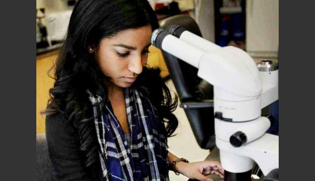 Jóvenes emprendedores