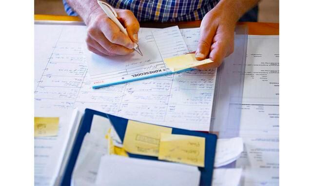 No hagas falsas promesas. Es un error partir de un salario bajo con la promesa de subirlo cuando el candidato alcance el rendimiento esperado porque, si no se cumplen sus expectativas, tendrá un motivo para marcharse. Pero tampoco debes dejar escapar al c