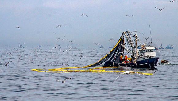Primera temporada de pesca de anchoveta (Foto: GEC)