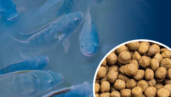 Naltech, del Grupo Redondos, produce alimentos para peces y animales domésticos. (Foto referencial).