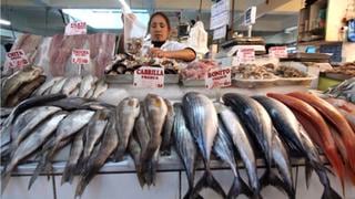 Precios de pescados suben hasta en 100% ante oleajes anómalos, ¿cuándo se normalizará?