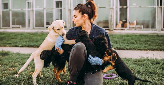 FOTO 17 | 17. Cuidar mascotas (Foto: iStock)