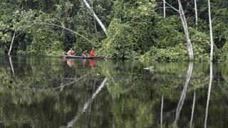 Perú y EE.UU. acuerdan plan para fortalecer la gestión en el sector forestal