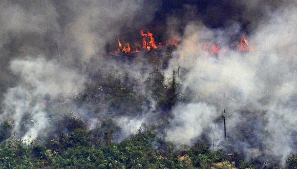 Incendio en Amazonas. (Foto: AFP)
