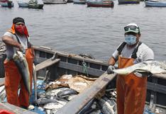 Derrame de petróleo en Ventanilla: Produce crea grupo de trabajo para atender al sector pesquero