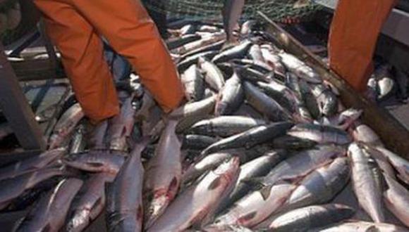 La industria pesquera para consumo humano directo está lejos de recuperarse a niveles prepandemia, según gremio
