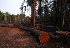 Estados Unidos insta a Perú a trabajar más para frenar la tala ilegal