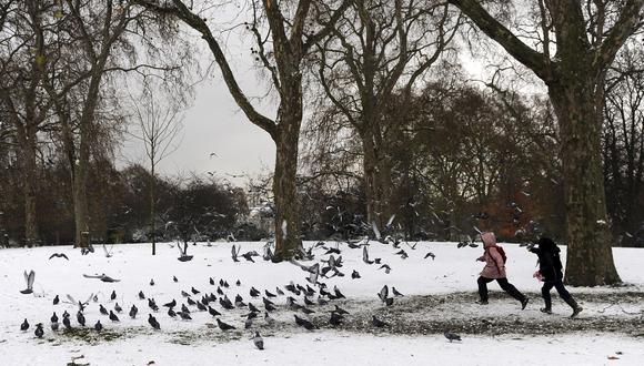 En la imagen de archivo, dos niños persiguen palomas en un parque nevado. EFE/Andy Rain
