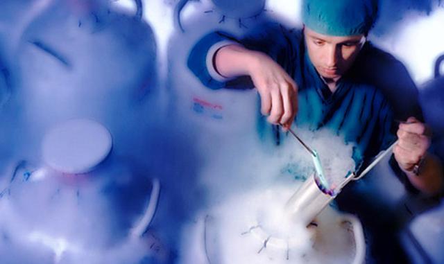 FOTO 2 | Embriones Artificiales. Los científicos ya han empezado a diseñar embriones a partir de células madre. Sin óvulo ni esperma, solo con células extraídas de otro embrión. El avance se debe a las investigaciones de embriólogos de la Universidad de Cambridge (Reino Unido) donde han desarrollado embriones de ratón de aspecto realista a partir de células madre. Los embriones humanos sintéticos serían una bendición para los científicos, ya que les permitirían desentrañar los eventos que tienen lugar al inicio del desarrollo. Lo que sí plantea esta tecnología son dudas éticas.