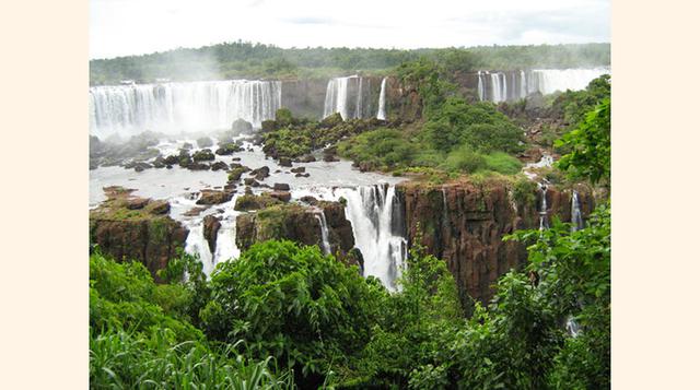 Foz de Iguazú, Brasil. Osos hormigueros gigantes, monos aulladores, ocelotes, jaguares en peligro de extinción y nubes de mariposas se encuentran entre las atracciones de este parque denominado patrimonio mundial que marca la frontera entre Brasil y Argen