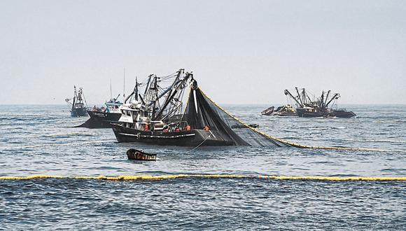 El Instituto del Mar del Perú (Imarpe) recomendó, a través de un reporte, adoptar las medidas de conservación de merluza pertinentes. (Foto: GEC)