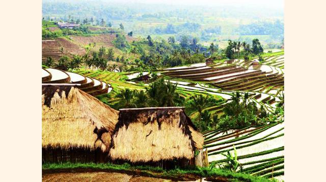 Abud, Indonesia. (Foto: tripadvisor)