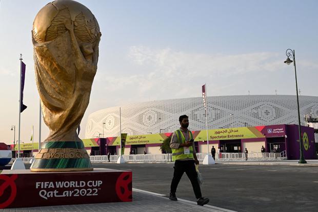 Contagios del virus del camello puede aumentar en la Copa del Mundo de Qatar (Foto: AFP)