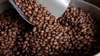 Estiman ligera alza para producción mundial de café a 150.1 millones de sacos en 2015/16
