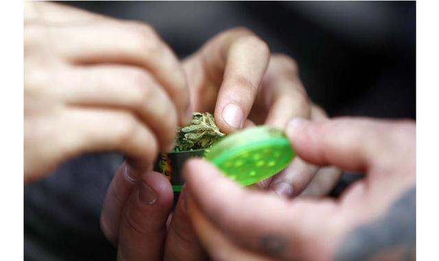 "Lo que sí es importante  es que es un producto que tiene toda la garantía. Es una flor que ha sido chequeada de todos los costados", señaló el ingeniero agrónomo respecto al principal objetivo de la ley, que es combatir el narcotráfico.