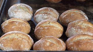 Precio internacional del trigo alcanza pico este mes y evalúan alza del pan