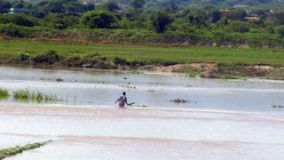 Modelos climáticos de todo el mundo muestran regreso de El Niño a mitad del año