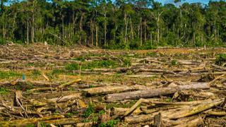 Advierten que la deforestación de la Amazonía se acerca a punto de no retorno