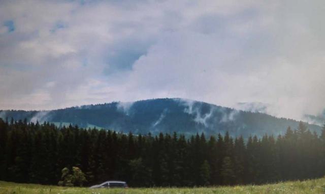 Silvagenitus: Se forman por la saturación del aire por encima de los bosques. (Foto: biobiochile.cl)