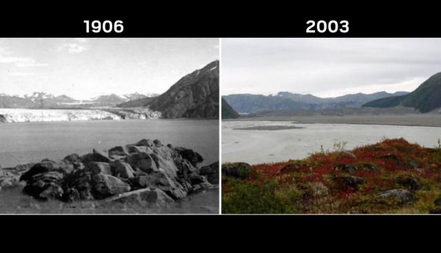 Glaciar Carroll | También está a punto de despedirse. Se ubica en Alaska y en más de 100 años se puede comprobar que presenta un considerable deshielo. (NASA)