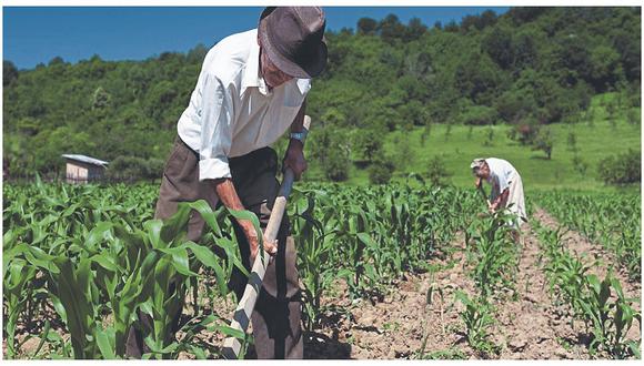 Durante la cuarentena, gremios del sector agrícola solicitaron medidas desde el Ejecutivo para evitar la quiebra del rubro.