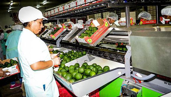 Las exportaciones no tradicionales de productos peruanos están a la espera de lo que suceda en sus principales mercados destino, pero también guardan relación con la evolución de la pandemia. (Foto: ADEX)