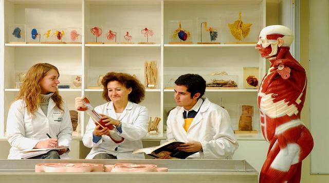 Medicina. El ingreso promedio es de S/ 3,964. El ingreso mínimo es de S/ 1,500 y el máximo de S/ 7,000.