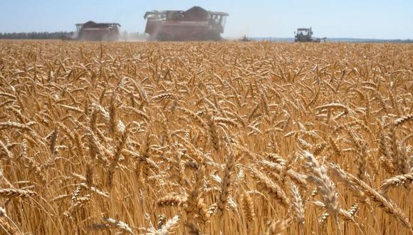 Ucrania es uno de los cinco mayores exportadores de cereales del mundo y, en circunstancias normales, el 75% de su producción se exporta.