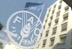 FAO: Precios mundiales de los alimentos tocan máximo de cinco años en diciembre
