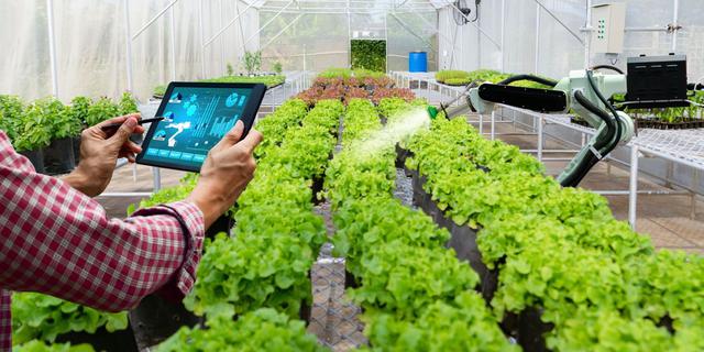 FOTO 1 | 1. Granjas de gran altura y agricultura inteligente (Foto: iStock)