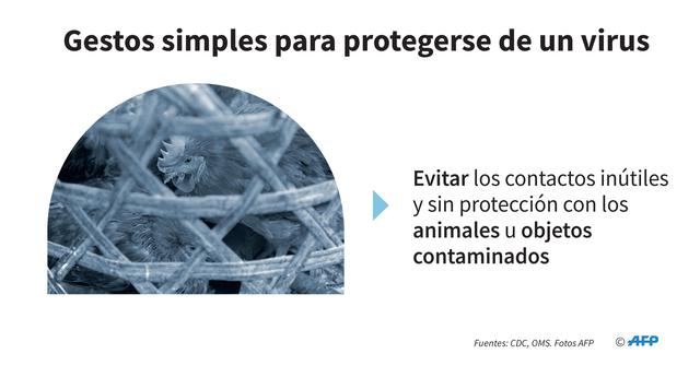 FOTO 2 | Evitar los contactos inútiles
y sin protección con los
animales u objetos contaminados. (Foto: AFP)
