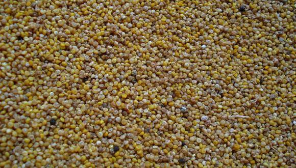 La FAO predijo que la producción de cereales tocaría un máximo histórico de 2,714 millones de toneladas en el 2019, en una revisión al alza de 0.4% respecto al pronóstico previo. (Foto: flickr.com/wheatfields)