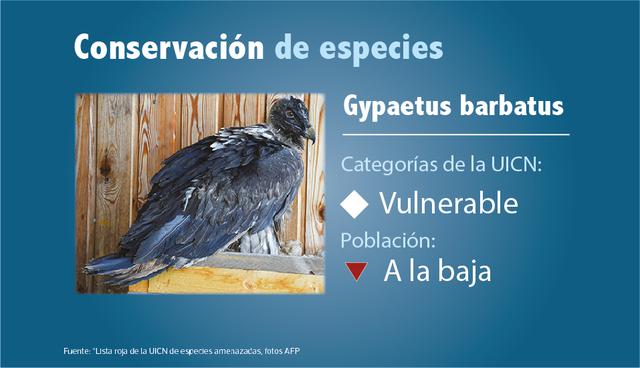 Conservación de especies