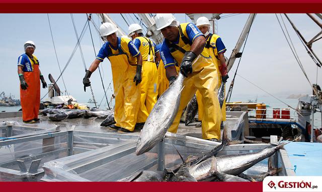 Foto 7 | En el sector de pesca, se espera que las dos temporadas de captura de anchoveta del 2018 se desarrollen con normalidad y se alcance una captura de alrededor de 5.0 millones de TM (2017: 3.8 millones TM).
