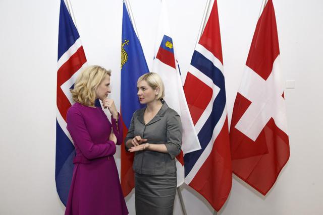 Asociación Europea de Libre Comercio (AELE): reagrupa a Noruega, Islandia, Liechtenstein y Suiza. Fundada en un primer momento a imagen de la Comunidad Económica Europea, más tarde Unión Europea (UE), se vació de contenido a medida que sus miembros integr