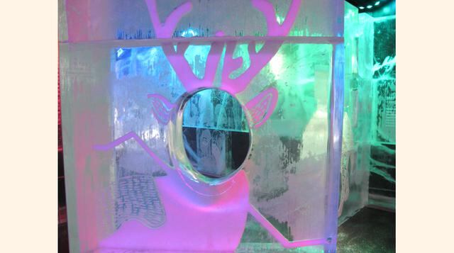 Lo bueno es que esta temporada podrá posar como un alce con imponentes cuernos. (Foto: Gestión)