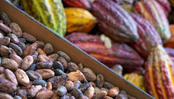 En el Perú se encuentra aproximadamente el 60% de la biodiversidad de cacao que existe en todo el mundial, según el Midagri. | Foto: Andina / Difusión